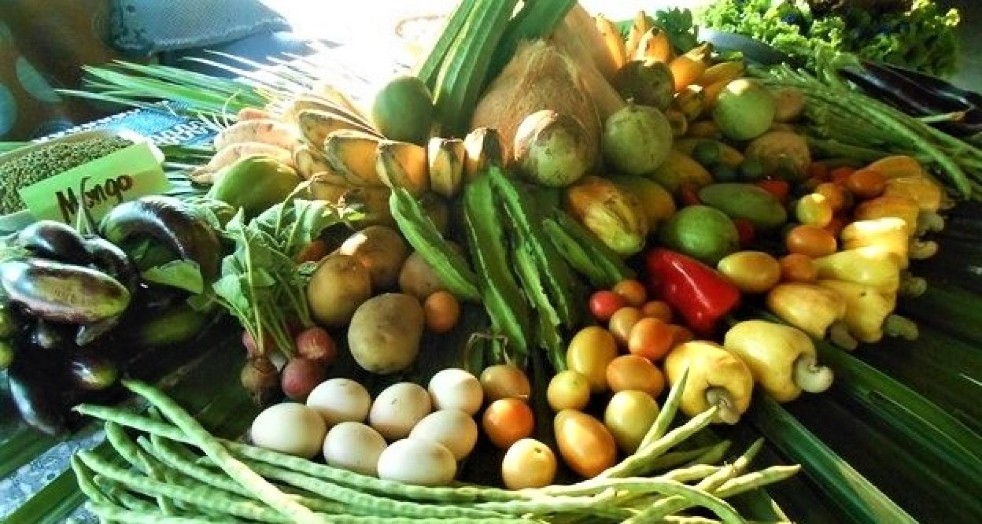 Abundance of vegetables at HEAL