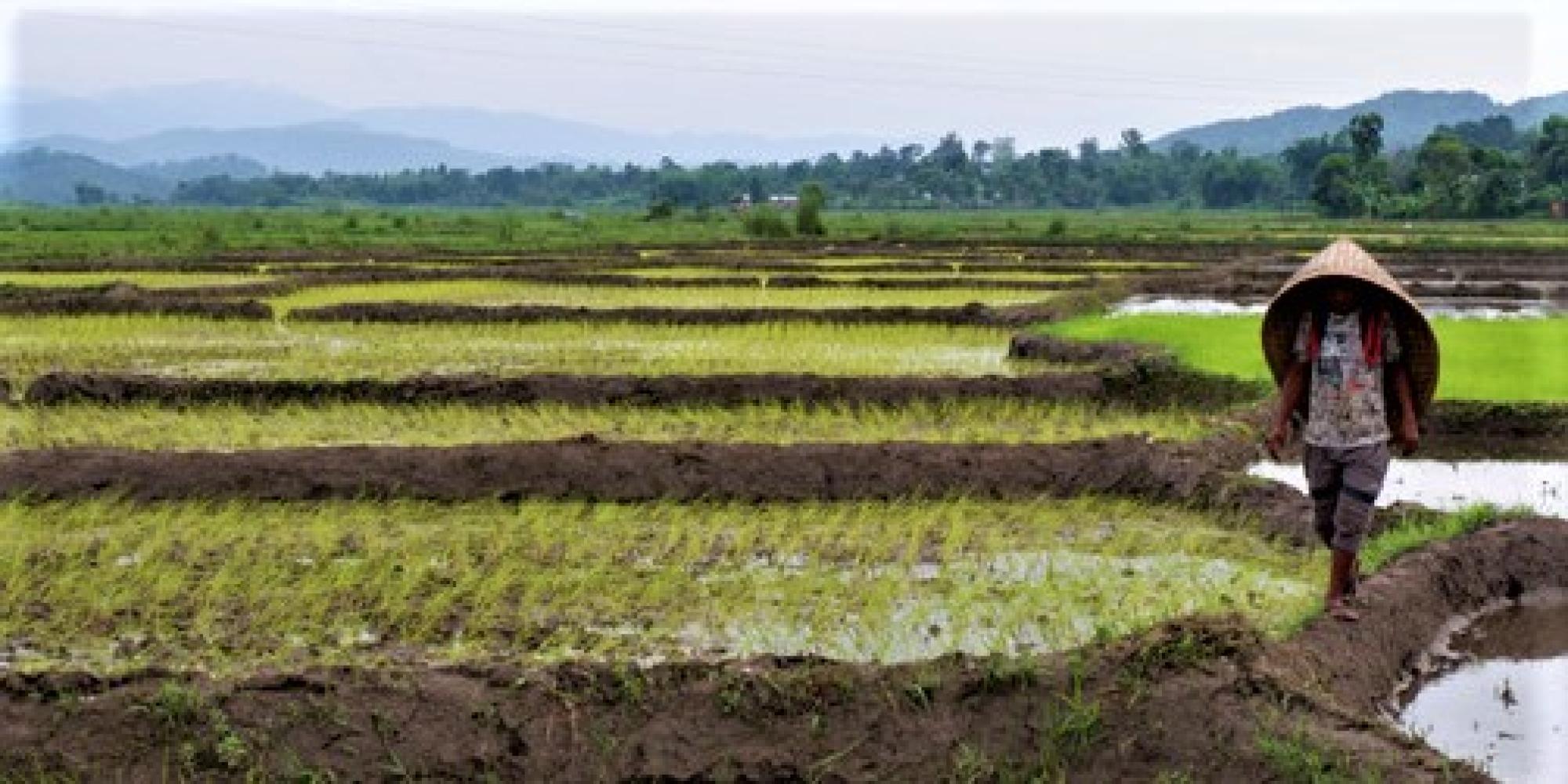 Khasi Hills