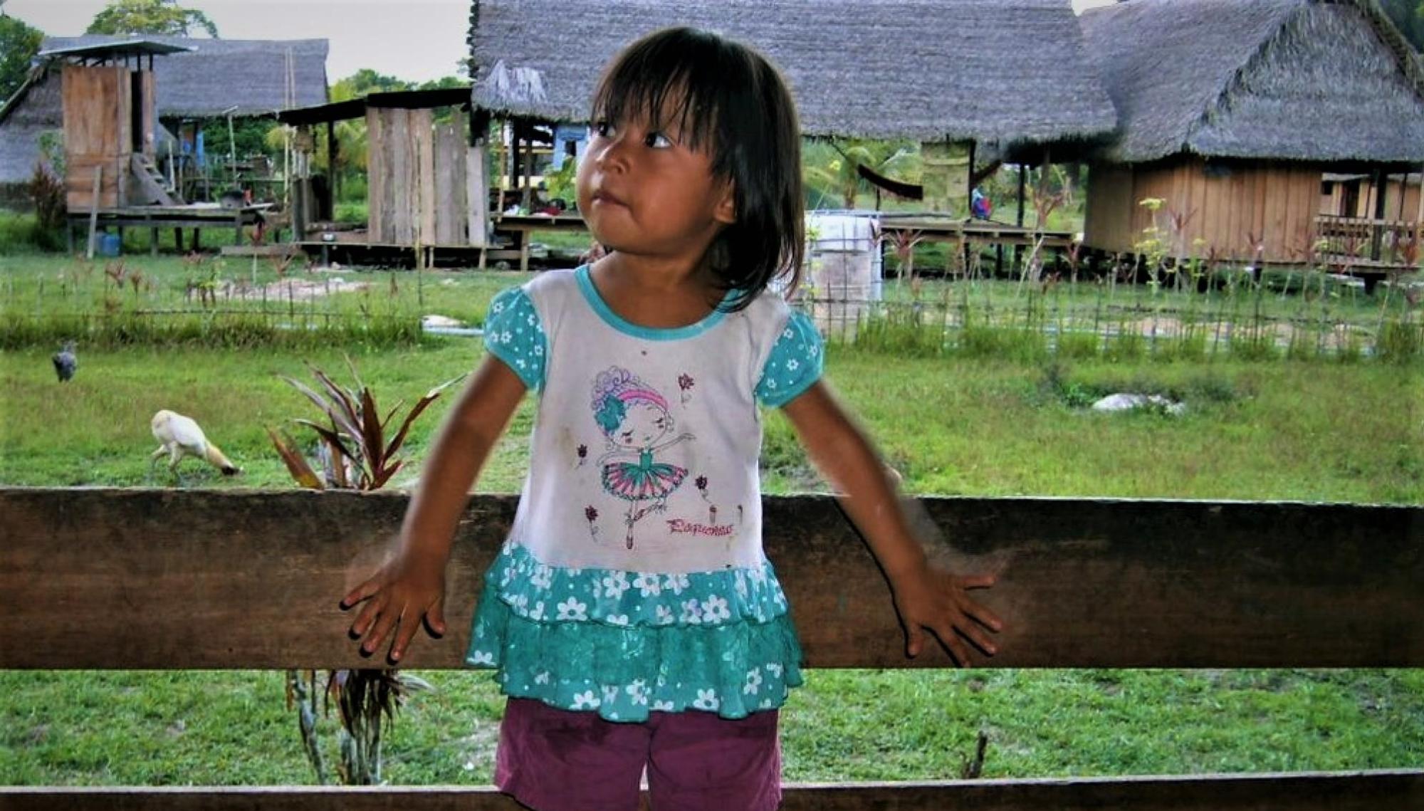A Peruvian child and country scene 