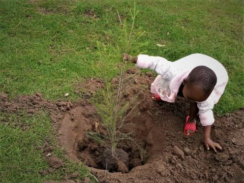 Child plants a tree at Rubanda Primary Healthcare Programme