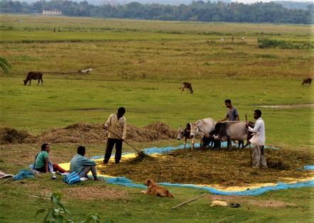 Life in the Garo Hills