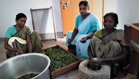 Preparing herbal medicines