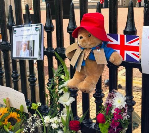 Paddington Bear hangs outside Buckingham Palace