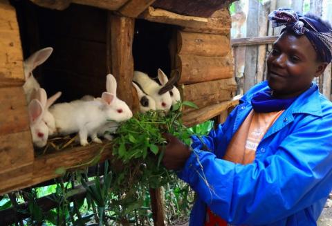 Meet Mary and her rabbits