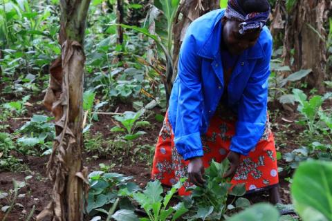 Mary grows vegetables