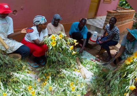 Sister Roselyn teaches how to make organic compost