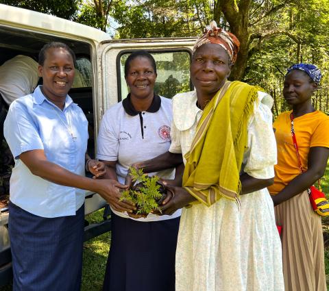 The widows' group receives the saplings 