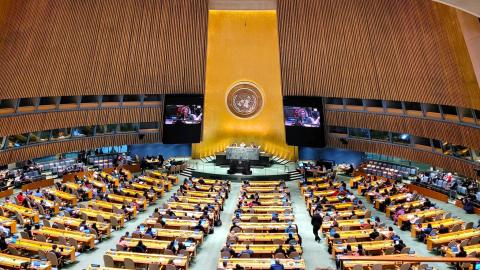 UN News and Events | Medical Mission Sisters