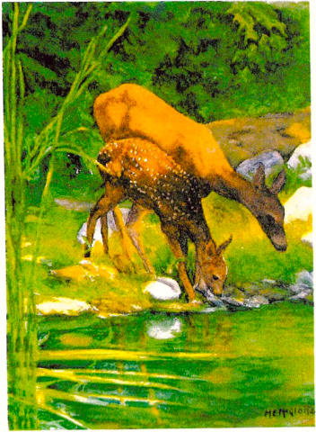 The Deer - painted around 2022-2023