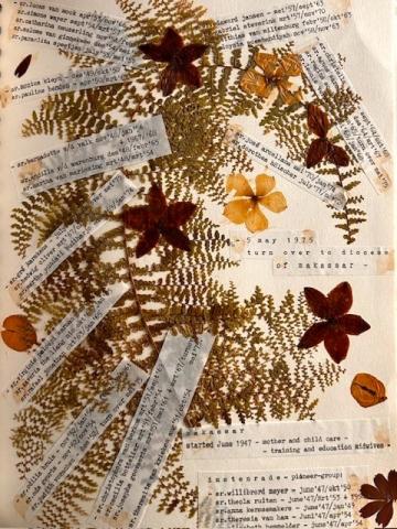 Dried flowers form a historical timeline, East Asia album 