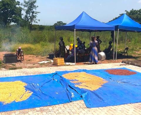 Ingredients waiting to be mixed