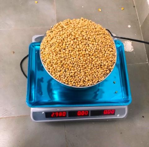 Weighing the grains for Weanimix