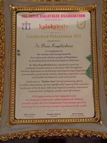 Previous recognition for Sister Rose's pioneering efforts