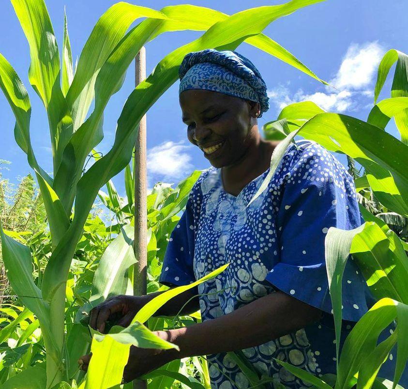 A sister harvesting in Tororo, Uganda