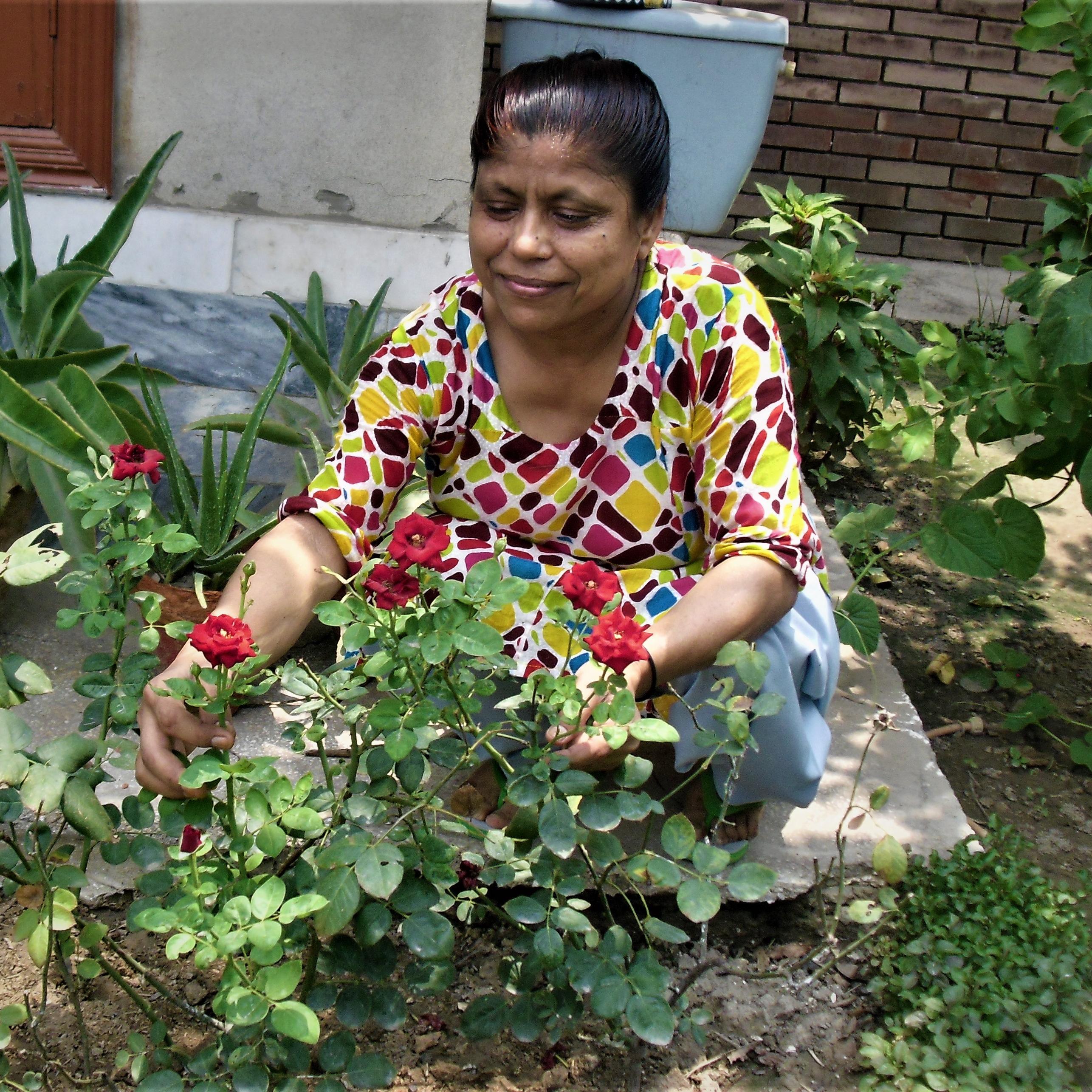 Honouring creation