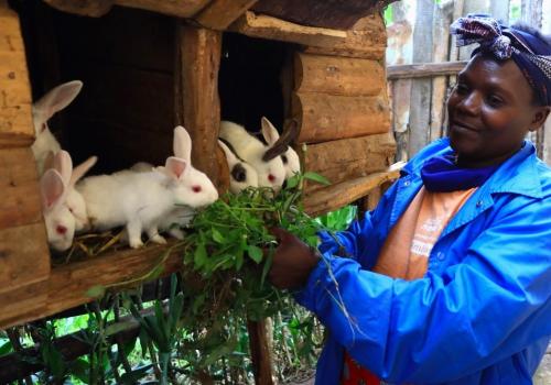 Meet Mary and her rabbits